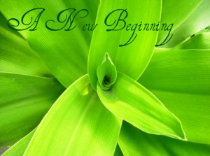 a-new-beginning-famous-quotes