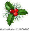 stock-photo-christmas-holly-with-with-red-berries-and-green-leaves-with-evergreen-pine-needles-isolated-on-a-111606986